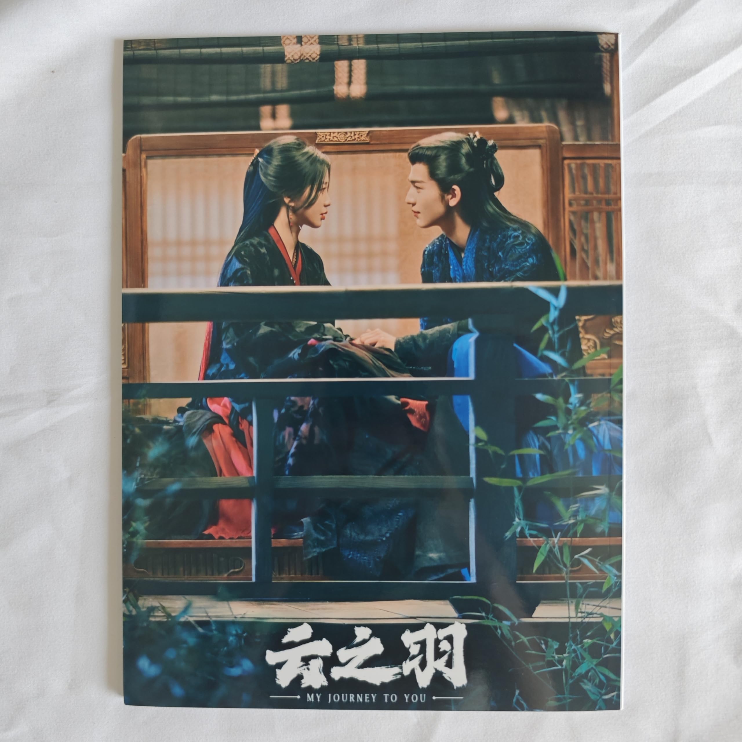 張凌赫 ドラマ「雲の羽」宣伝直筆サイン 専用ページ Amazon.co.jp: 月