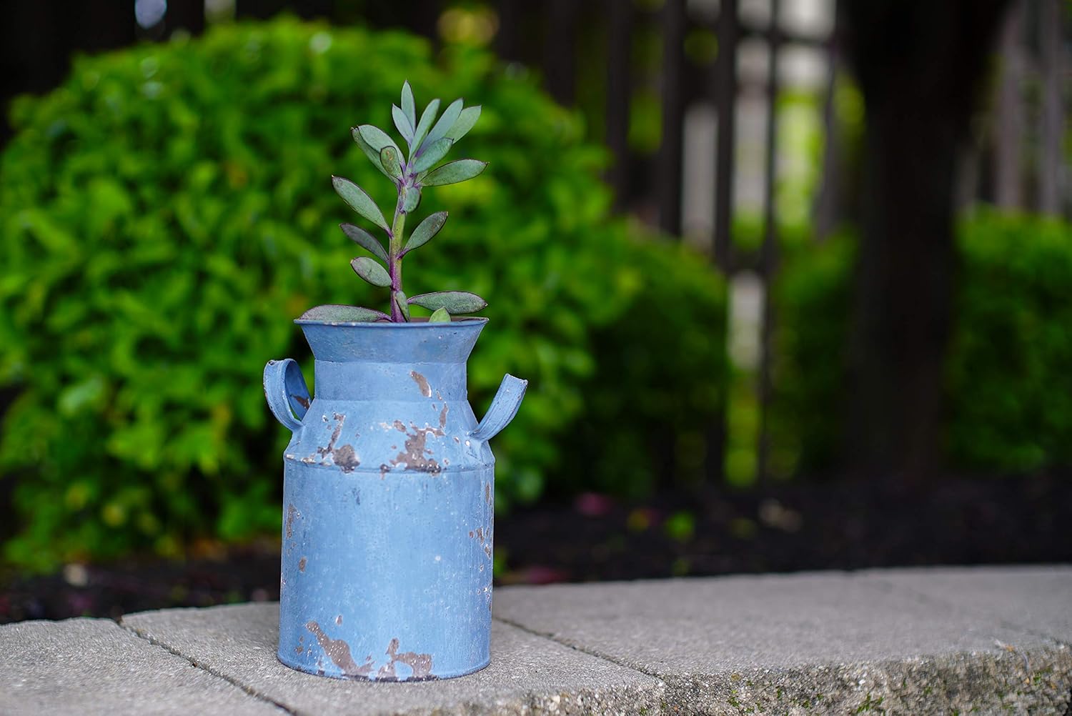 Harbor Gardens H12503BLUE 8.3" Old Fashioned Distressed Vintage Blue Milk Can