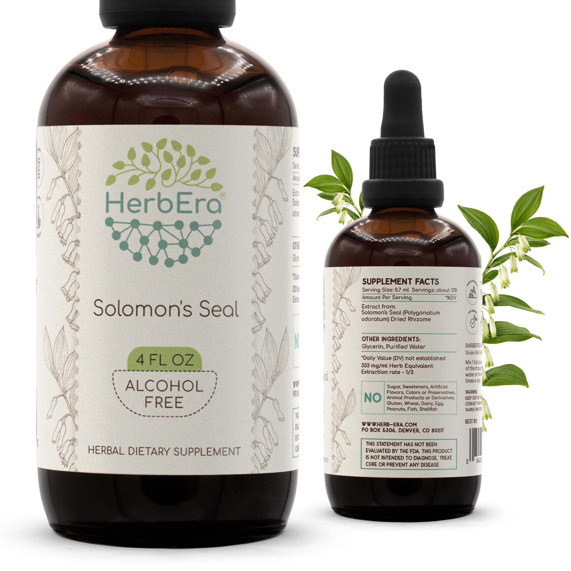 HerbEra Solomon's Seal Alcohol-Free Liquid Extract Tincture – Joint & Mobility Support, Polygonatum odoratum Dried Rhizome, Flexibility Drops, Vegan, Herbal Supplement (4 fl oz) 4 Fl Oz (Pack of 1)