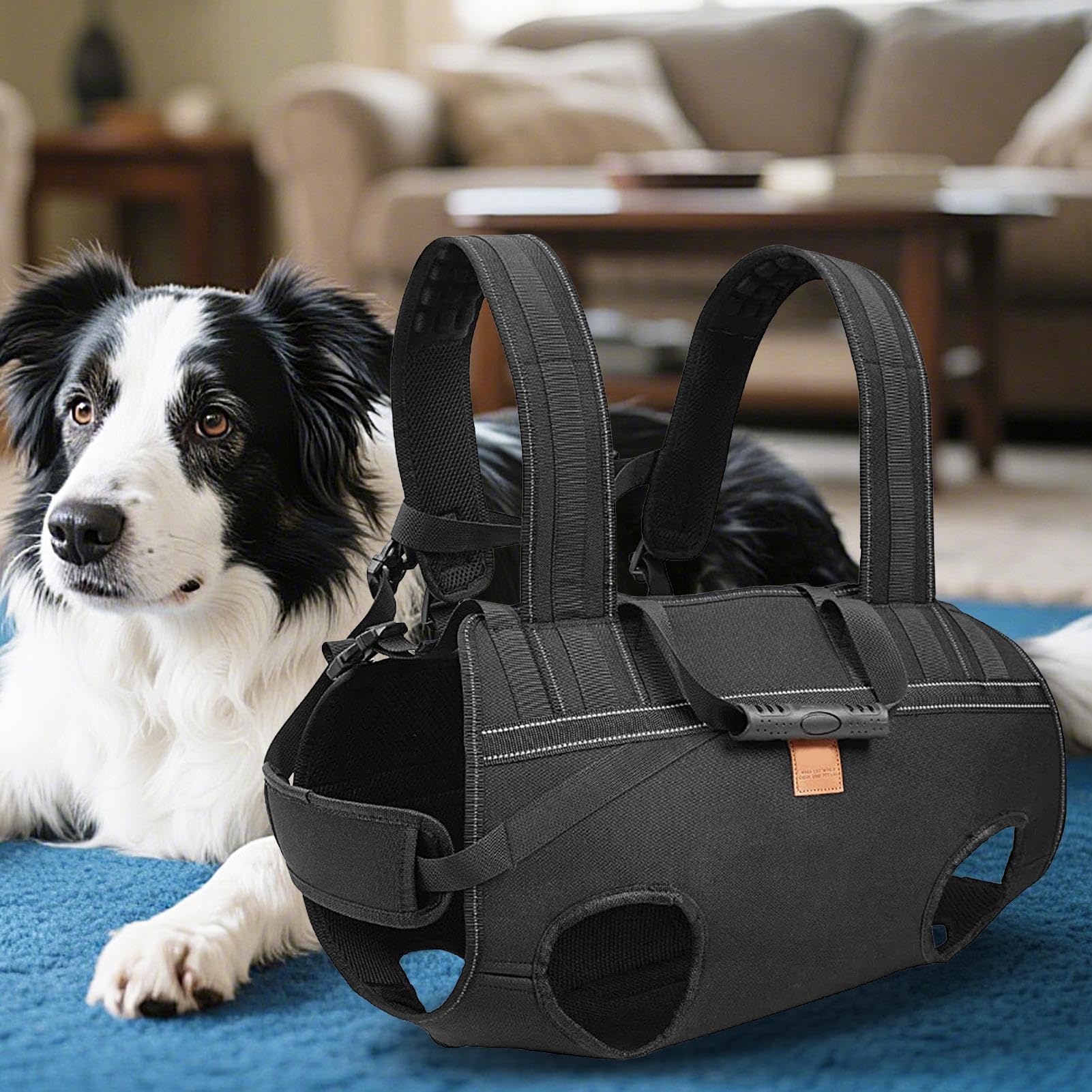 Guinzaglio Sollevatore per Cani Pettorina Regolabile Traspirante | Imbracatura Per Trasporto Cani Per Cani Anziani E Razze Grandi, Alla Mobilità, Riabilitazione, Passeggiate Quotidiane,