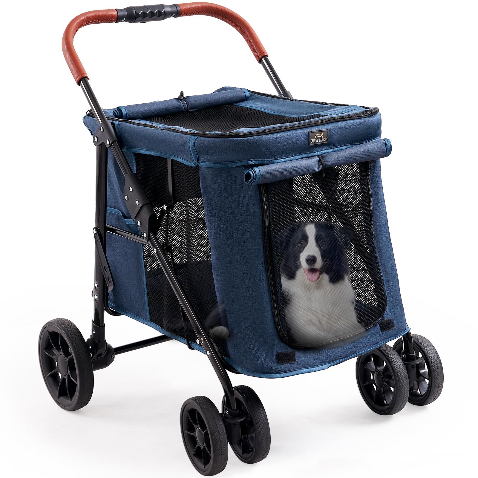 CANINE CANYON Scout