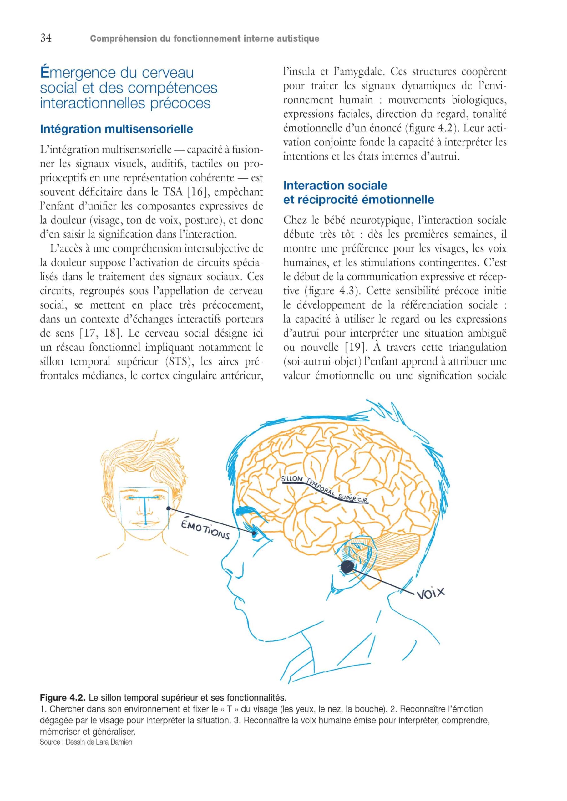 Douleur et soins de la personne autiste: Comprendre, accompagner et soulager - Pour tous les professionnels de santé