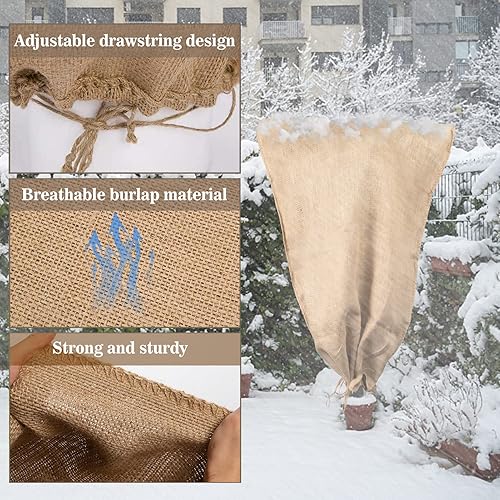 Miniatura 3 de Paquete de 2 bolsas de arpillera para plantas de invierno, 24 x 40 pulgadas, protector contra heladas de plantas con cordón, cubiertas reutilizables