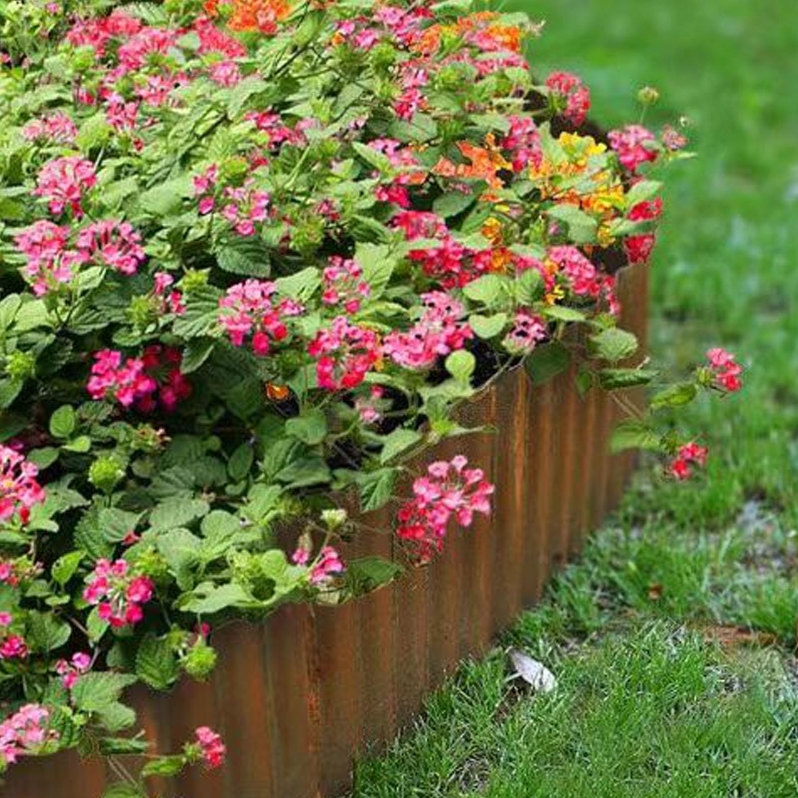 Tosuny Bordure de Jardin en Métal Ondulé Rouillé 8in X 20ft