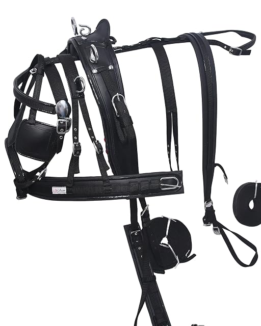 Aces Equine Arnés de nailon para carrito de caballos de color negro, tamaño completo, mazorca, pony (SHETLAND)