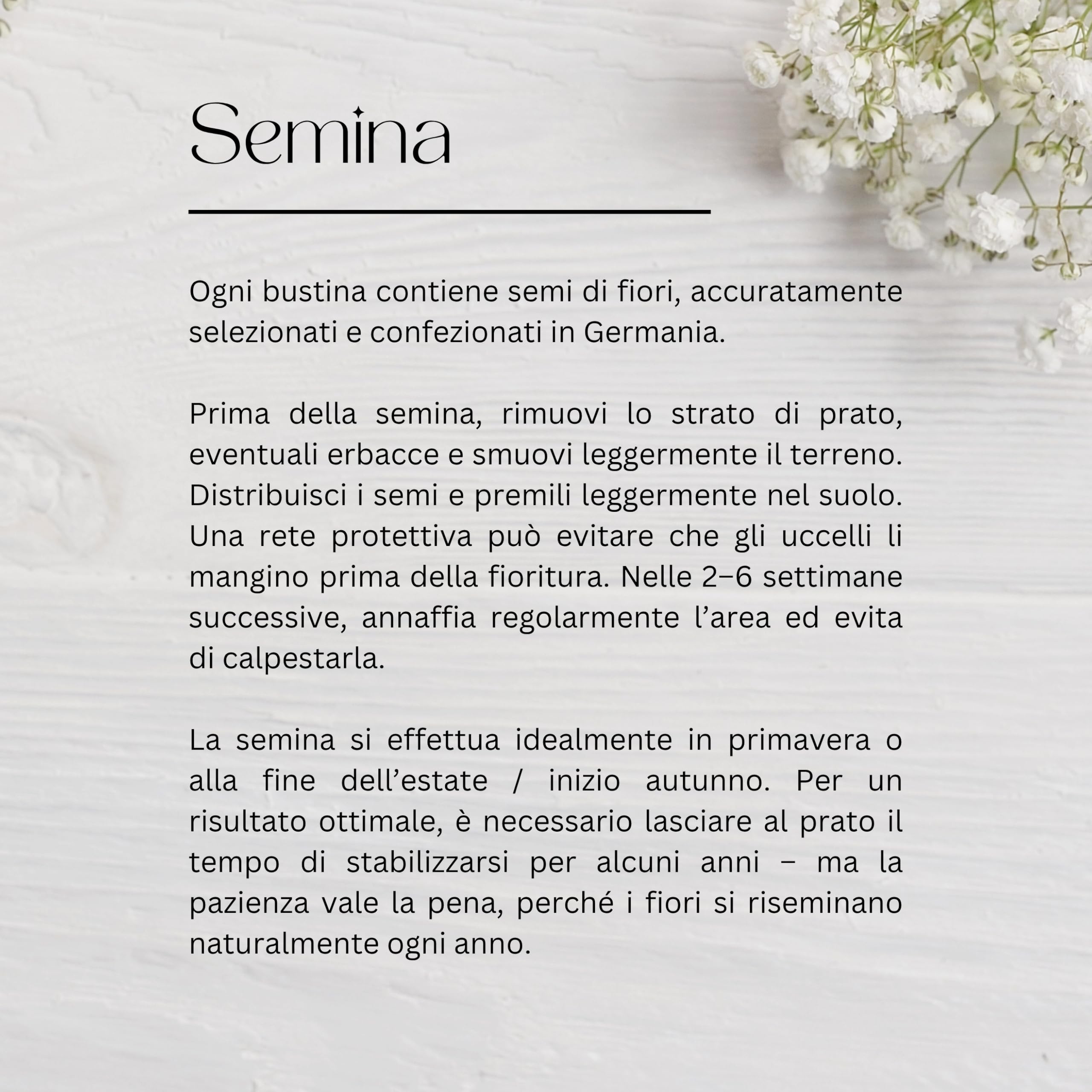 Semi di Fiori "Grazie" | Idee Regalo e Pensierino Originale | Piccolo Regalo per Colleghi, Maestre e Ospiti | Bomboniere Compleanno Bambini | Segnaposto Comunione (20 pezzi - Grazie "Eucalipto")