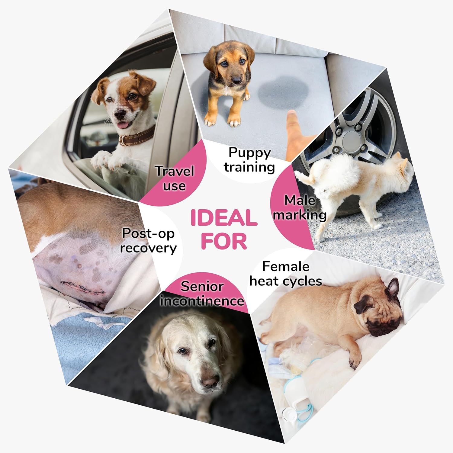 PUMYPOREITY Dog Diaper with Suspender, Escape-Proof Anti-Harassment Garment for Heat Cycle, Incontinence, Puppy Training, Senior Dog, L, Pink