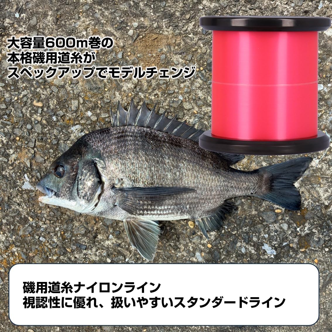 ダイワ　アストロン　石鯛　26号 ダイワ アストロン 石鯛 26号 アストロン石鯛 マックスガンマ(ライン