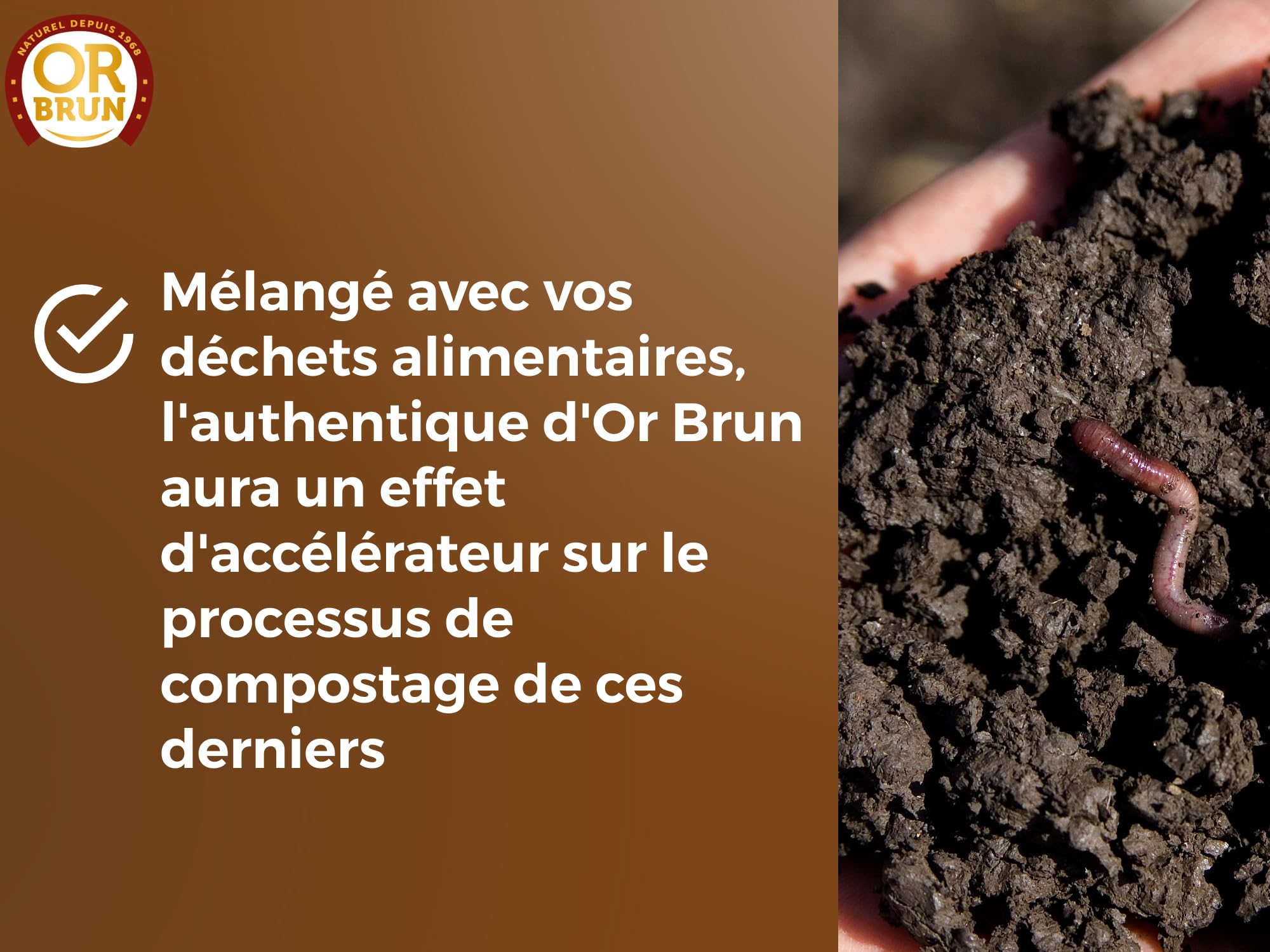 OR BRUN Authentique Fertilisant - Fertilisant Essentiel Pour Le Sol - 10kg - 20m² - Fumiers & Algues OBRAAUT10