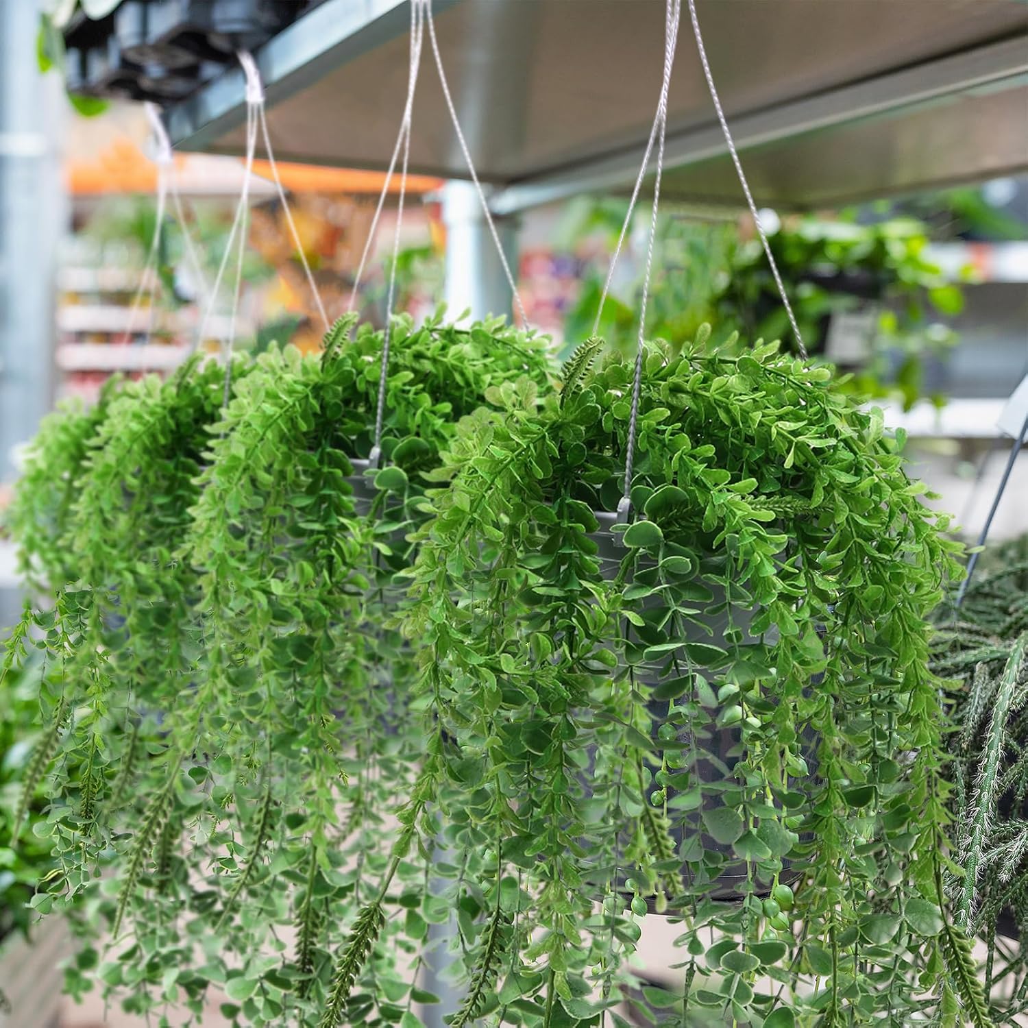 Tioncy 50 Pcs Plastic Hanging Planter Round Hanging Pot for Plants Containers with Hook Flower Plant Pots Holders for Outdoor Indoor Plant Balcony Garden Decor(Gray White)