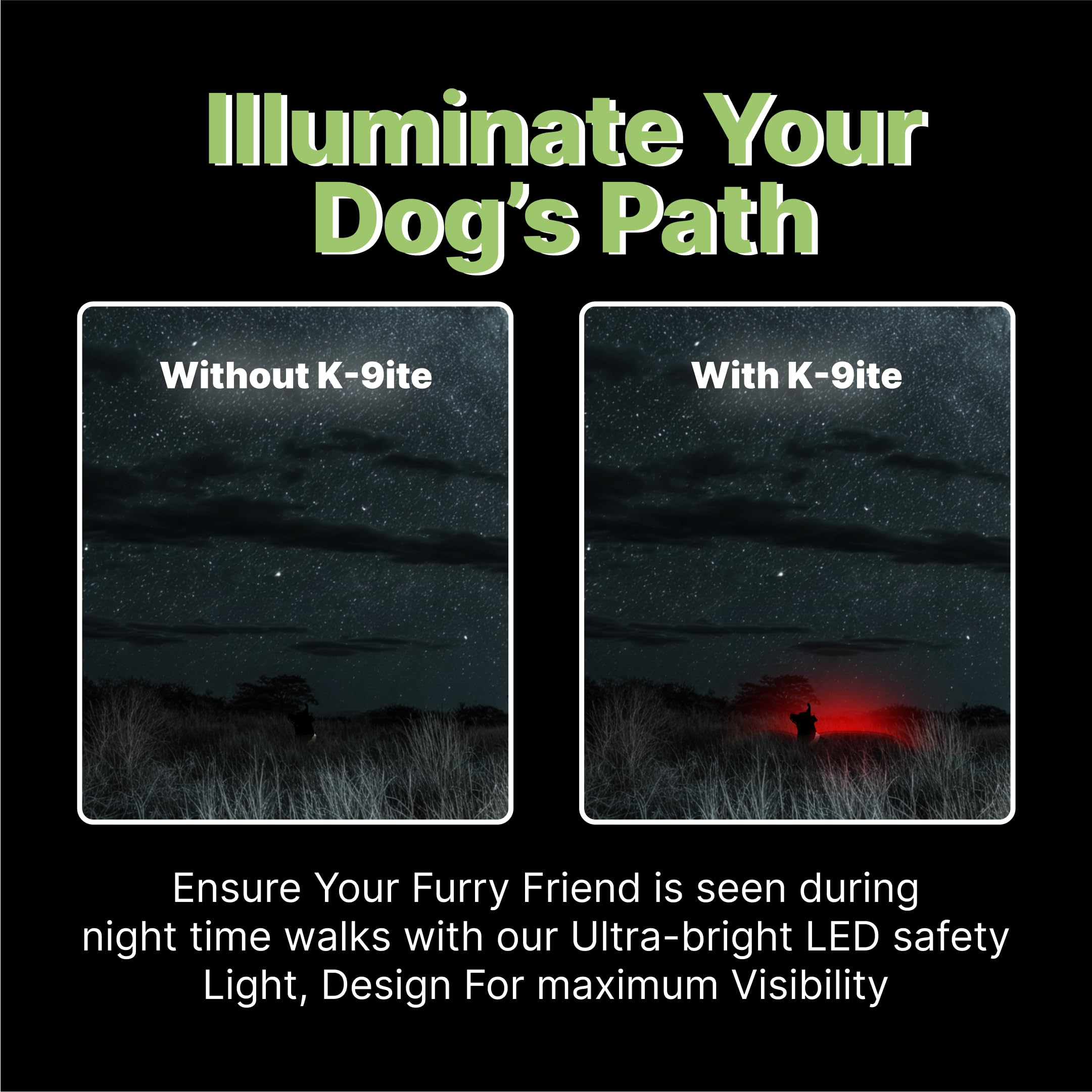 Collar de perro Better Than Light Up para perros pequeños, collar de perro LED recargable, dispositivo de seguridad para perros con un diseño único estilo cinturón