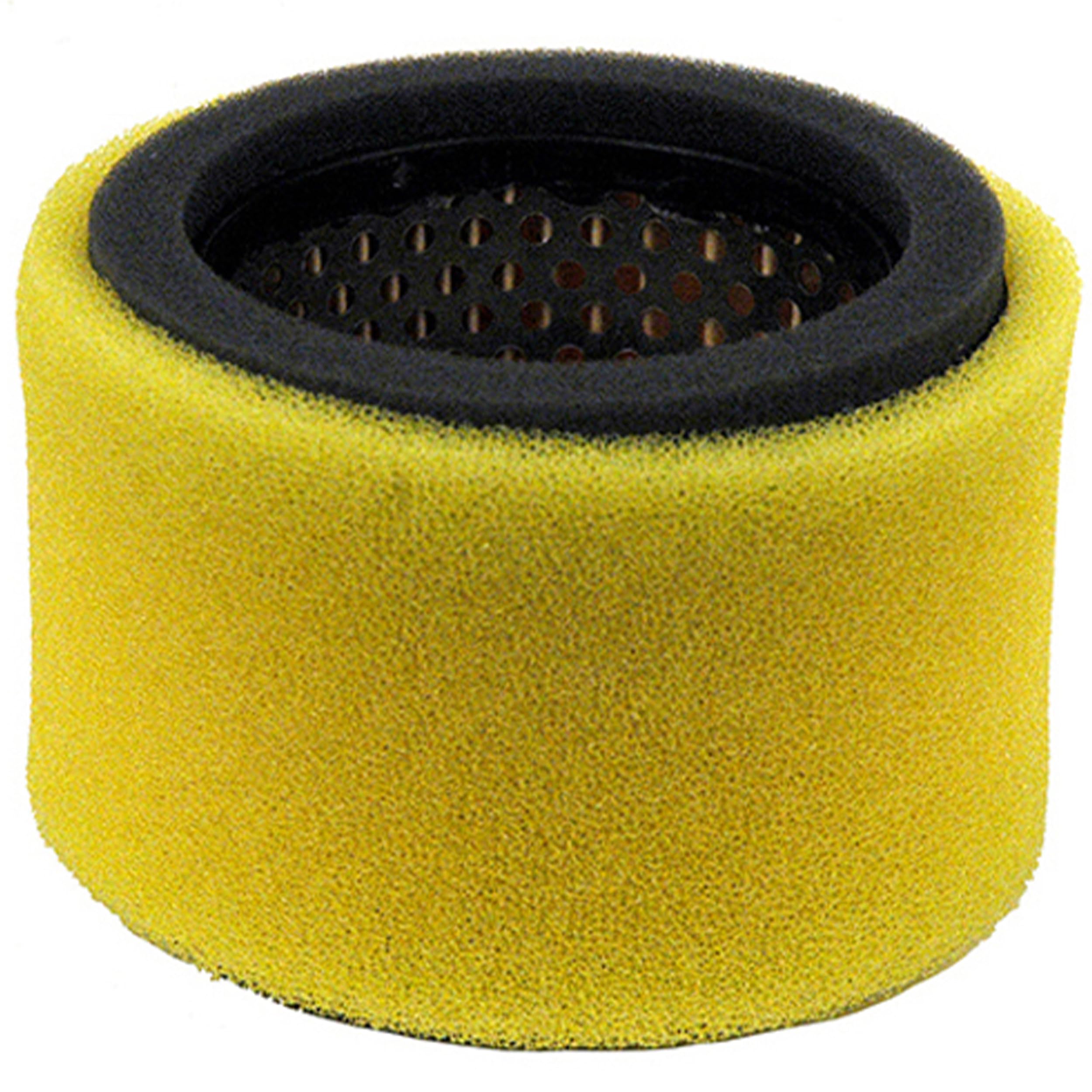 Amazon.com : Mr Mower Parts Filter and Prefilter Replace Wisconsin