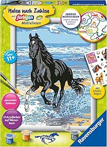 Amazon.co.jp: Pferd am Strand. Malen nach Zahlen Serie D Pferde: Mit