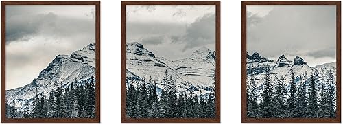 Miniatura 11 de Poster Master Póster de ilustración vintage de 3 piezas, impresión botánica retro, arte de pared sin marco de 8 x 10 pulgadas, regalo para artista,