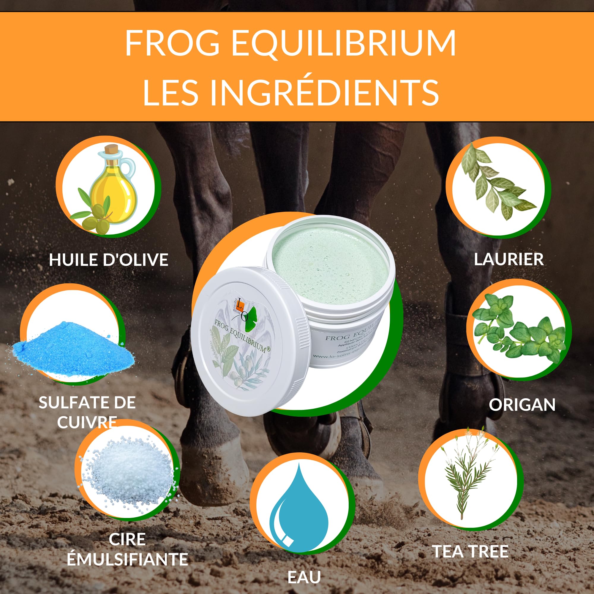 Frog Equilibrium - Soin, Graisse Onguent Naturel pour Sabots pour Cheval (Sabot cassant, infecté, bleime, seime...) - Aux Plantes, Olive, Laurier, Tea-treee, Origan - Toute Saison (250mL)