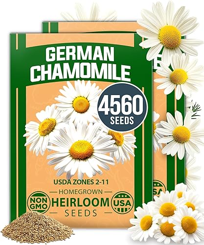 HOME GROWN Paquete de semillas de manzanilla alemana 4,560 semillas tradicionales para plantar jardines sostenibles y tés de hierbas medicinales