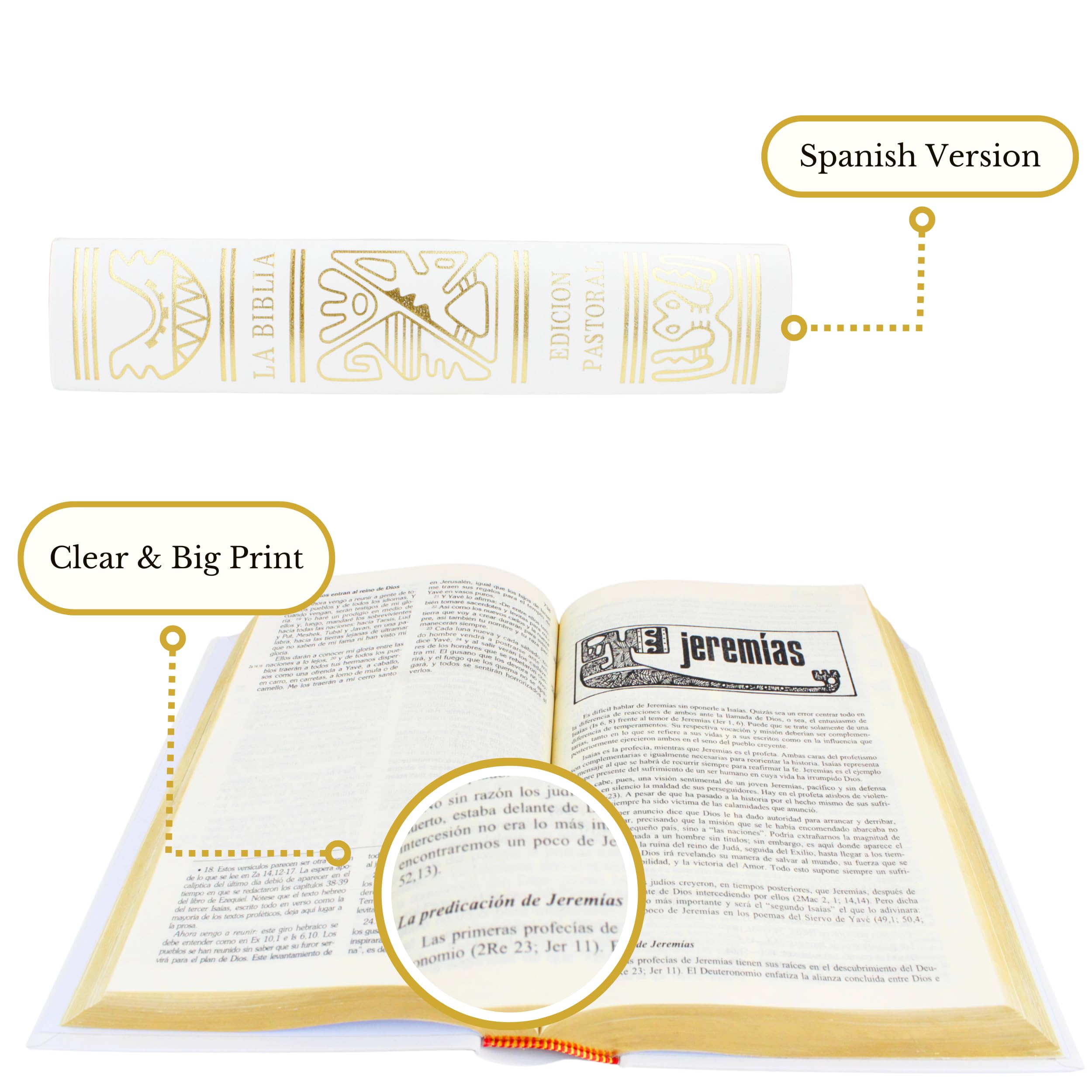 la Biblia latinoamericana letra Grande - Biblia latinoamericana catolica - Biblia catolica en español letra Grande - biblia en español letra Grande - Biblia en español biblia catolica latinoamericana