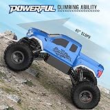 DOUBLE E Ford Raptor F150 RC Car 4WD Monster Trucks for Boys,11 Inches Off Road Crawler Vehicle RC Truck Toy Gift for Boys Girls 6 7 8-12 Years-Blue