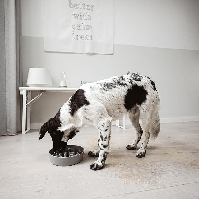 Foto 6 de 7 de District 70 - Bamboo Dog Slow Feeder, Comedero de Perro - Grey - Ø 28 cm