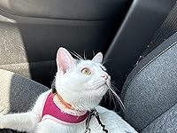 Review Image by Natalia Maisonet Natalia Maisonet