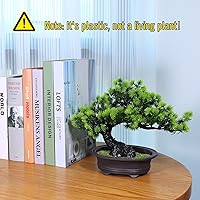 Vista 2 de Árbol bonsái de enebro artificial para decorar interiores para casa u oficina