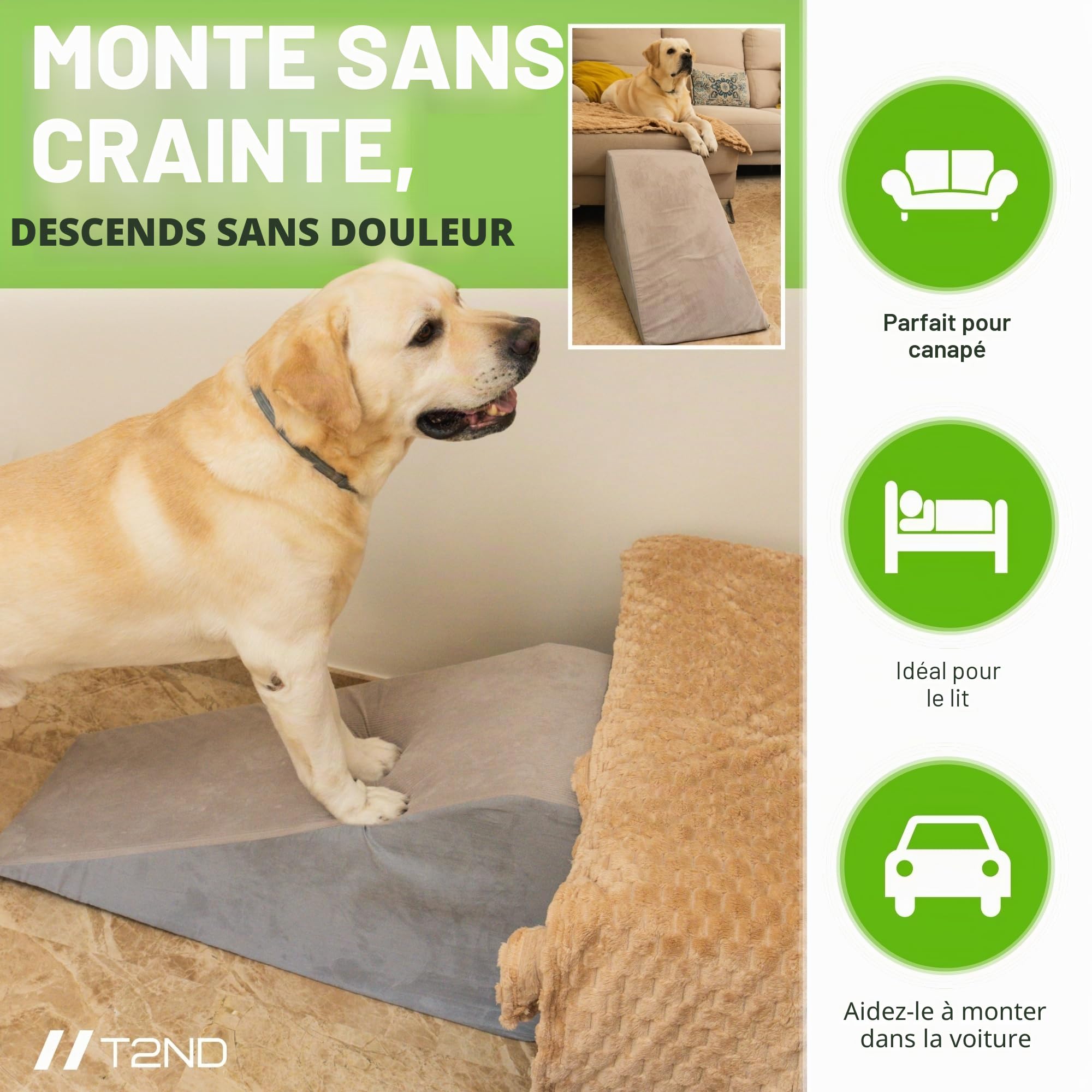 Rampe pour chiens (petits et grands) - L'aide quotidienne pour monter sur le canapé, le lit ou la voiture et éviter les blessures | Échelle antidérapante, housse lavable et brosse incluse | Supporte