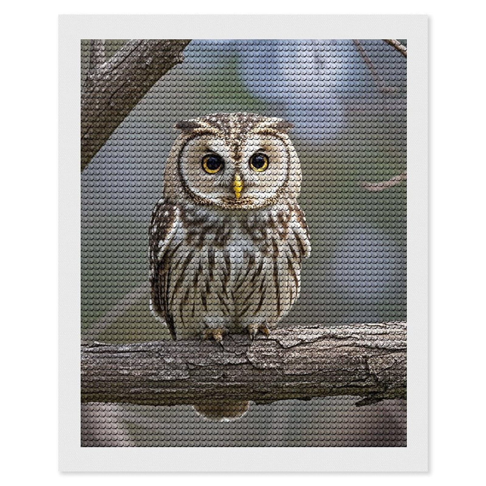 Cute Owl Diamond Painting Kits for Adults, DIY 5D Diamond Painting Kits for Beginners, Round Full Drill Diamond Dots Paintings, Diamonds Pictures Gem Art for Crafts Home Decor 16"x20"