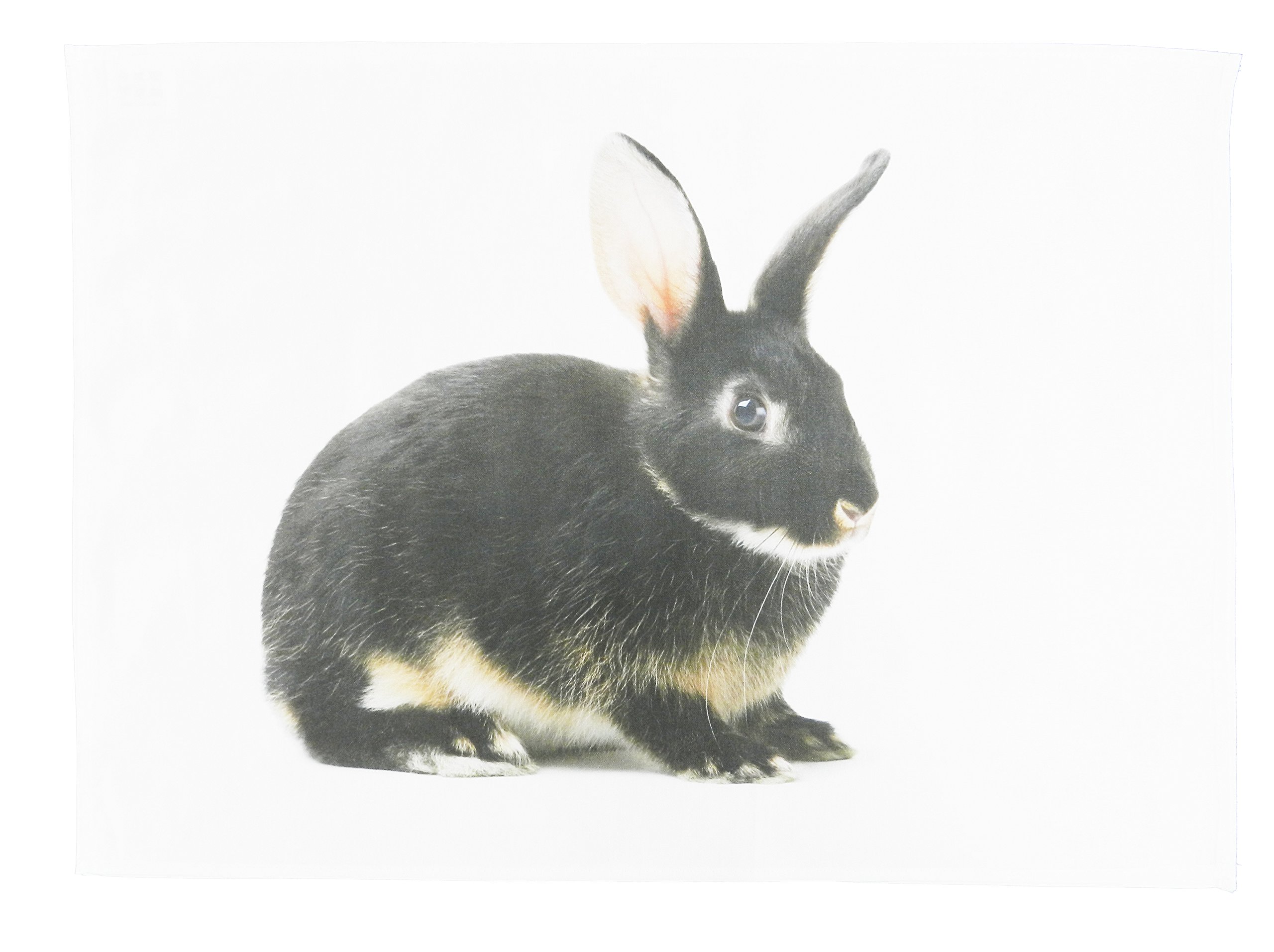 Half a Donkey The Little Grey Bunny Cotton Tea Towel, 47 cm Width x 65 cm Height