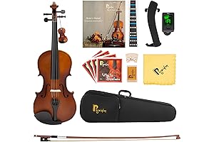 Striking Music 1/4 Violins for Kids Beginner: Opening Doors to a Melodious Journey