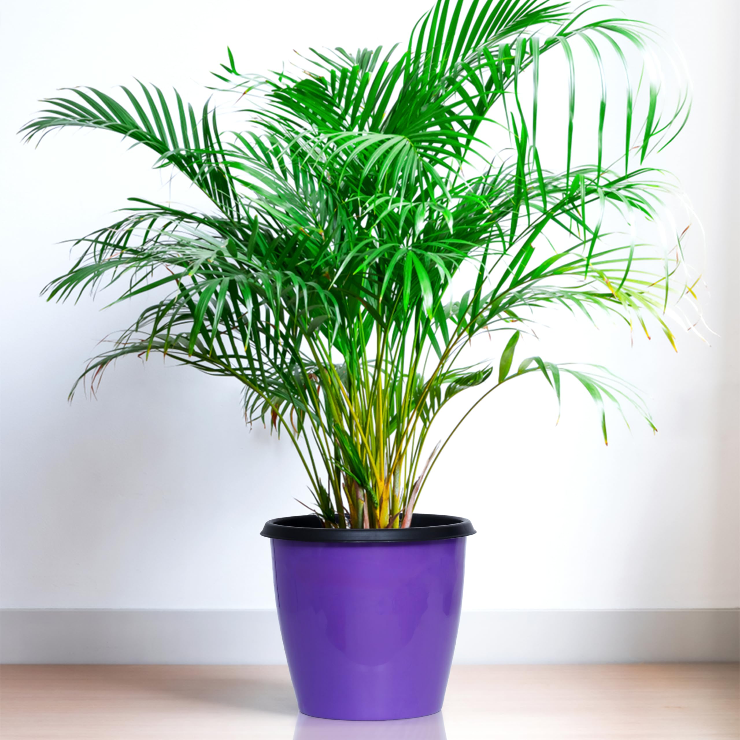 Livzing 10 Inch Plant Pot Pack of 5 (10 Pots) | Self Watering Indoor Pot | Purple Outer and Black Inner Flower Pot | UnFadable - Low Maintenance Gamla | Suitable for Home Indoor and Balcony Plants