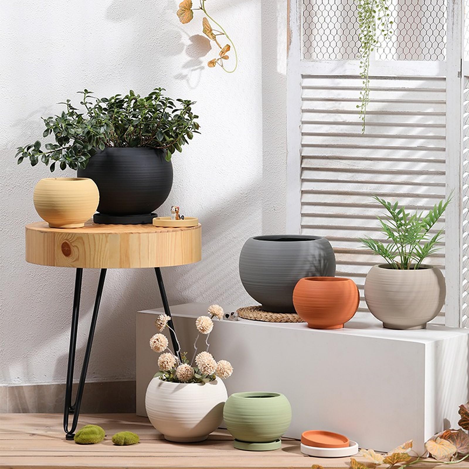 Amazon.co.jp: 陶器鉢 プランター 素焼き植木鉢 鉢 植木鉢 丸型 鉢