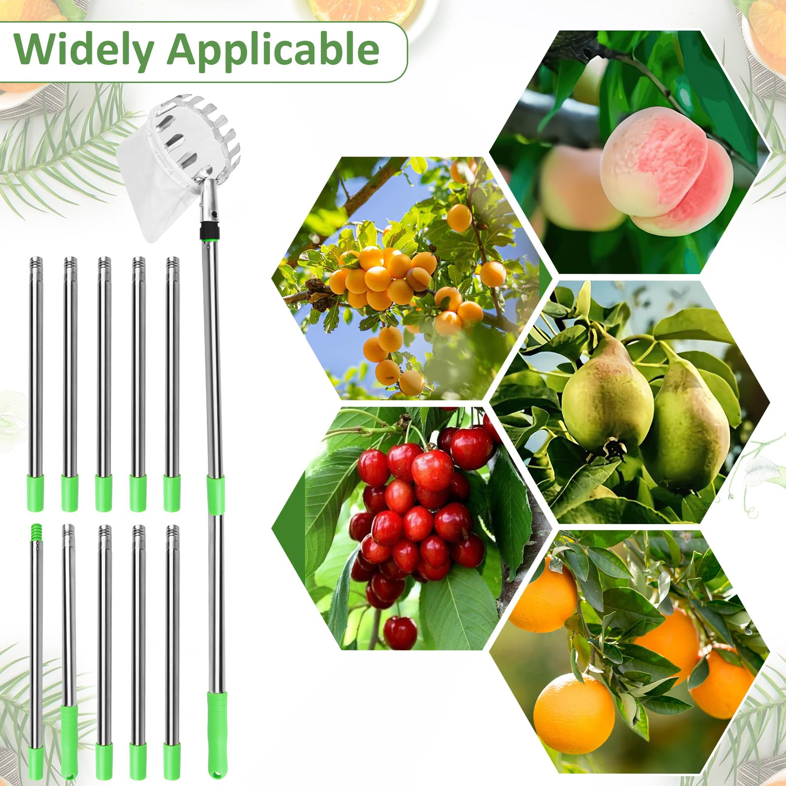 PRZRAO 4m Recogedor de Frutas con Telescópico, Recogedor de Frutas Diámetro 16 cm Recogedor de Manzanas con Pértiga Telescópica Ligera de Acero Inoxidable y Bolsa de Algodón para Manzanas Cítricos