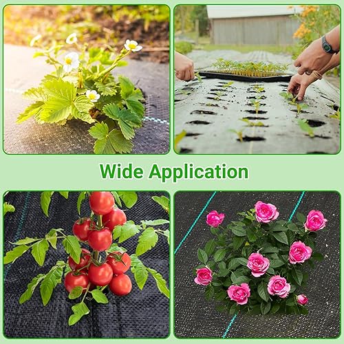 Miniatura 6 de UNIFAMILY Tela de paisaje resistente de 3 x 30 pies, tela de barrera tejida con agujeros de plantación, tela de cubierta de suelo de jardín, tela de