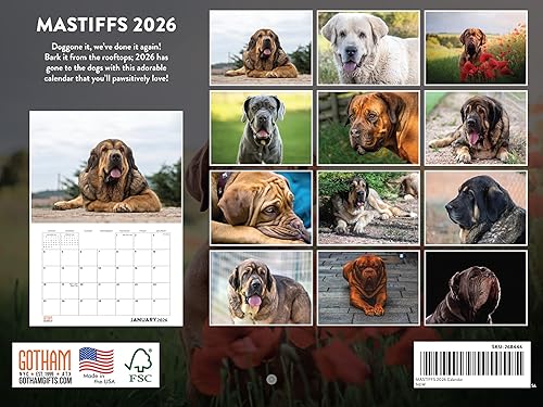 Vista 450 de Calendario Goldendoodle 2026 Golden Doodle mensual de pared calendario de 12 meses Fabricado en Estados Unidos