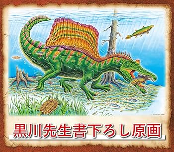 81EY9SF4EbL._AC_UF350,