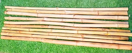Bamboo Stick thik Heavy Polished Pole Safety Barricade Security Fencing Fit Health Exercise Karate 25 pc Size 6 ft POLE6