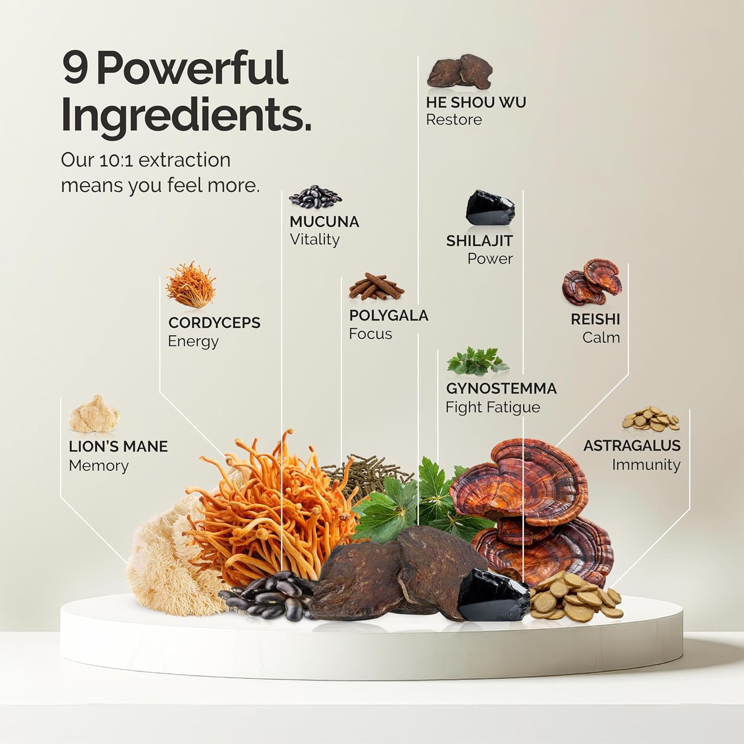 Mushroom Coffee Alternative, Superfood Blend, 10X Concentrated Extract with Lion’s Mane, Reishi & Cordyceps, Energy & Focus Support, Premium Supplement Powder, 30 Servings - Image 5