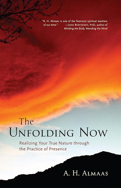 Portada de The Unfolding Now: Realizing Your True Nature through the Practice of Presence