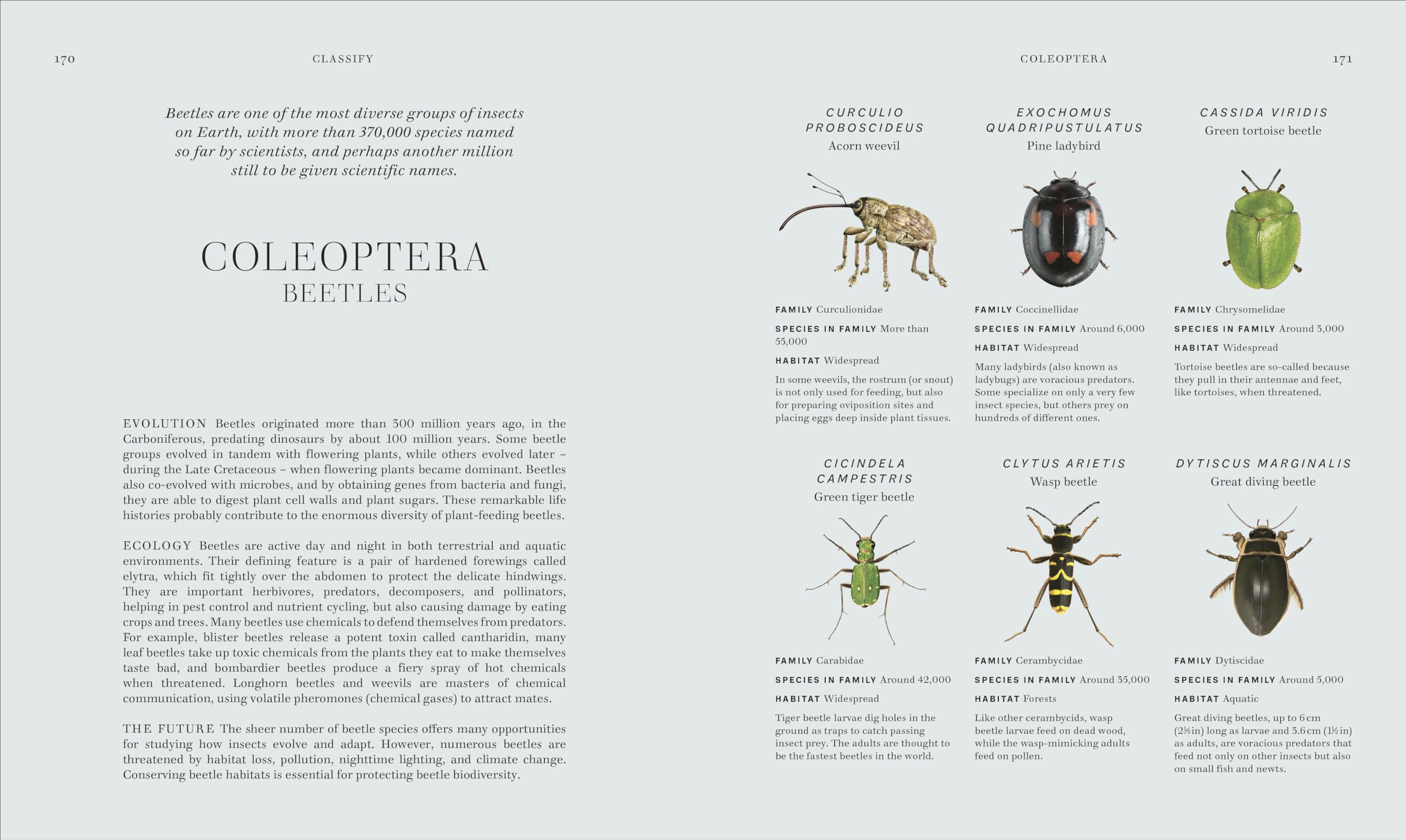 RES Insects: Discover the Science and Secrets Behind the World of Insects