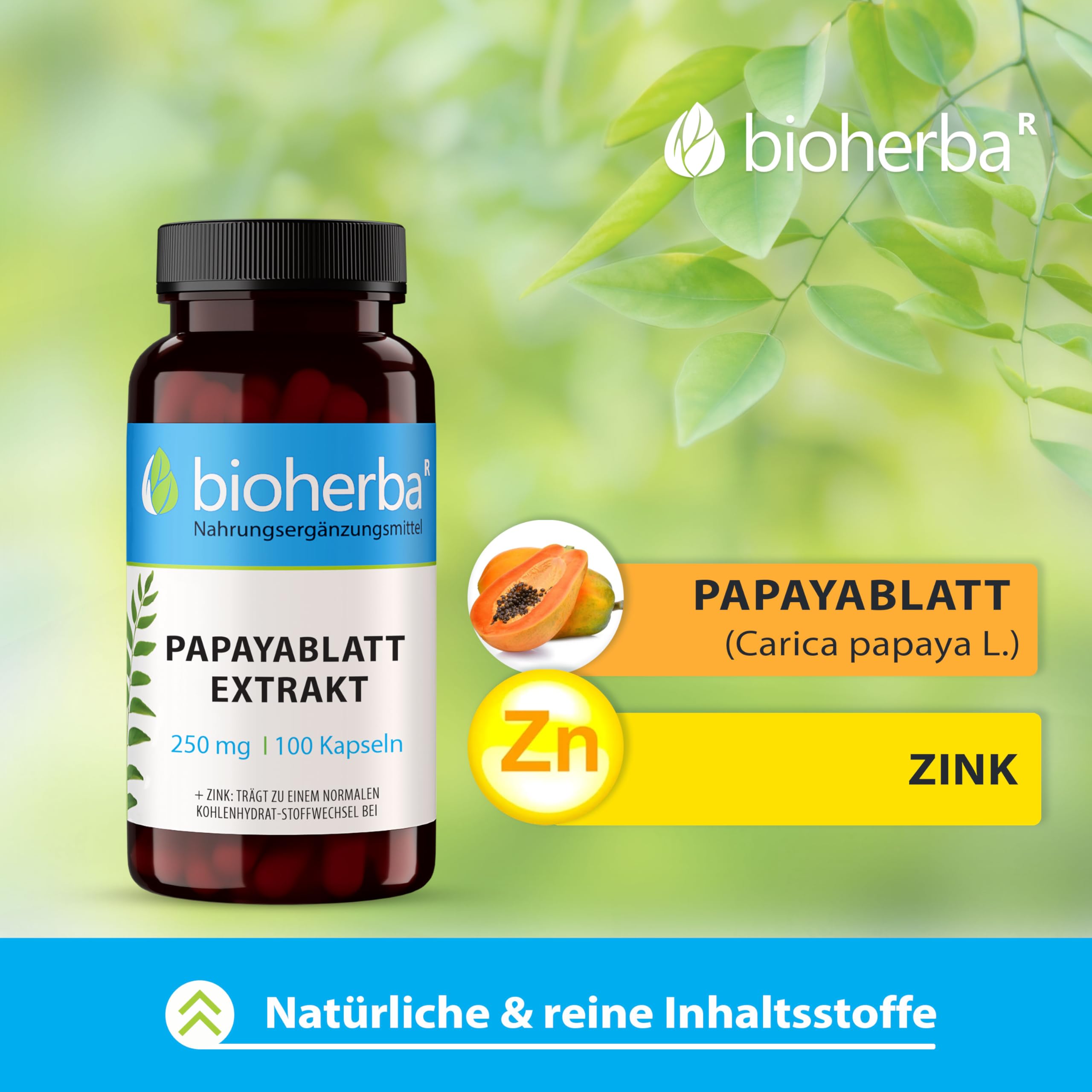 Papaya-Blatt Kapseln, 200 Stück, 250 mg Papaya-Extrakt von BIOHERBA