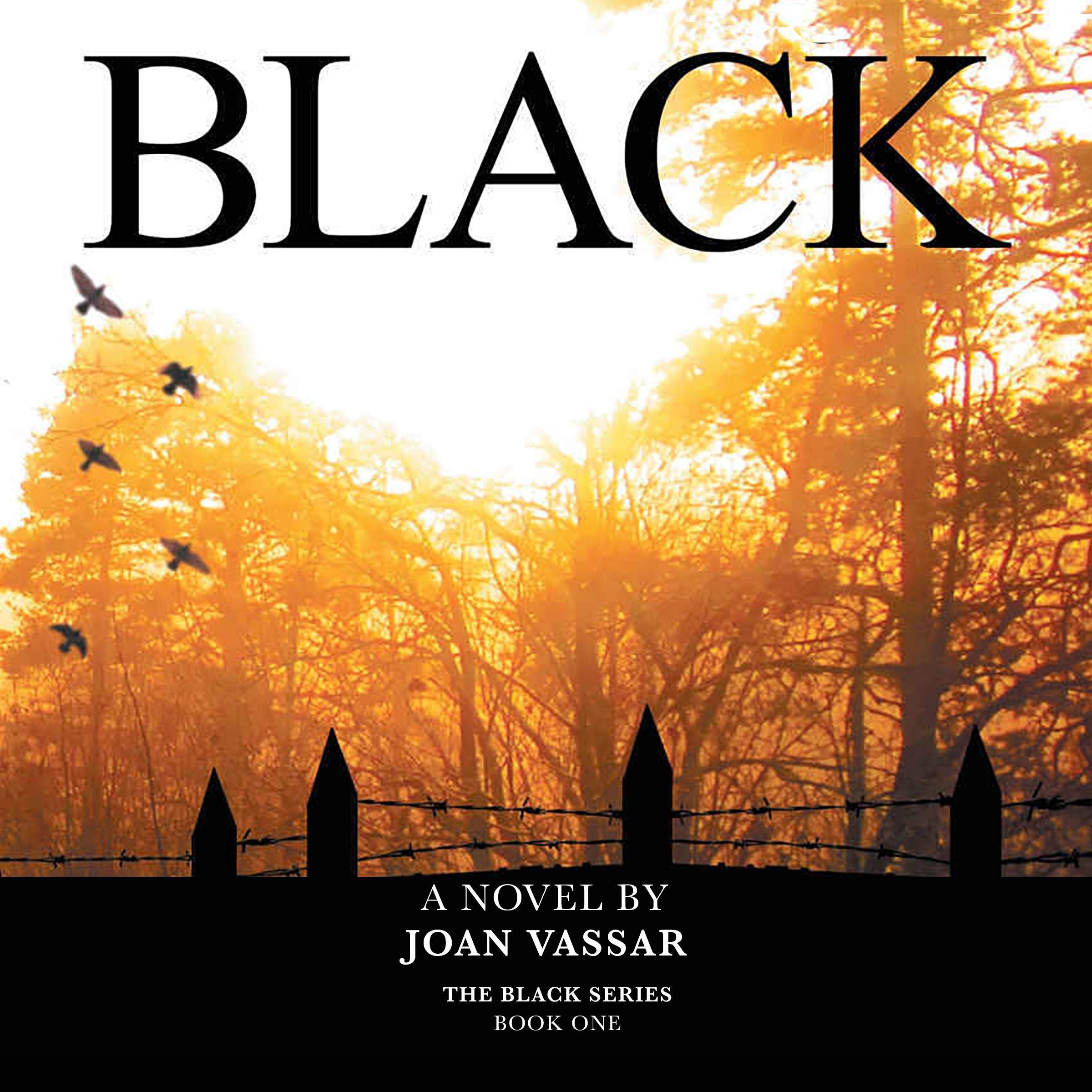 Cover art for Black: The Black Series, Book 1