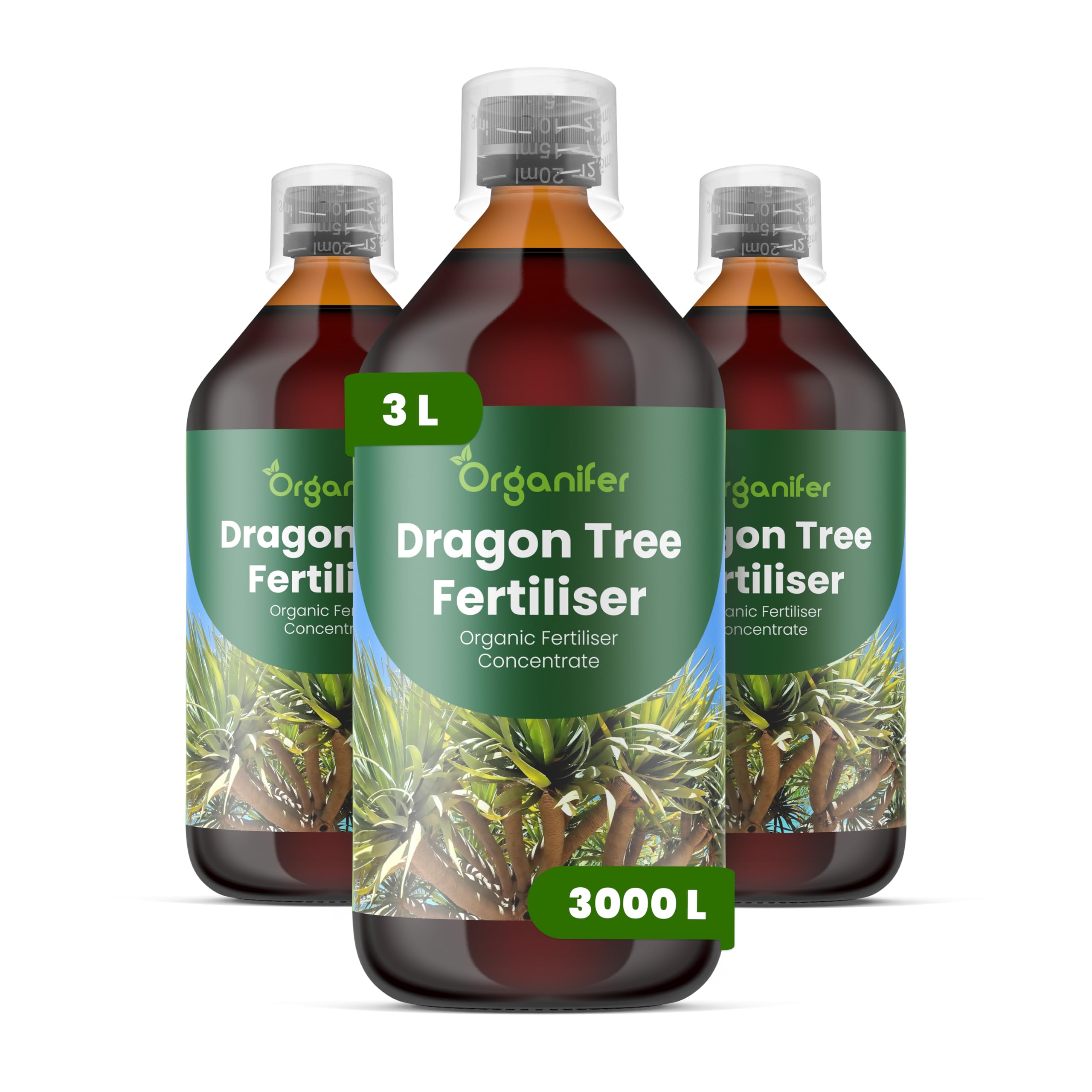 Engrais liquide organique 3x1L pour dragonnier – favorise croissance et vitalité – Organifer