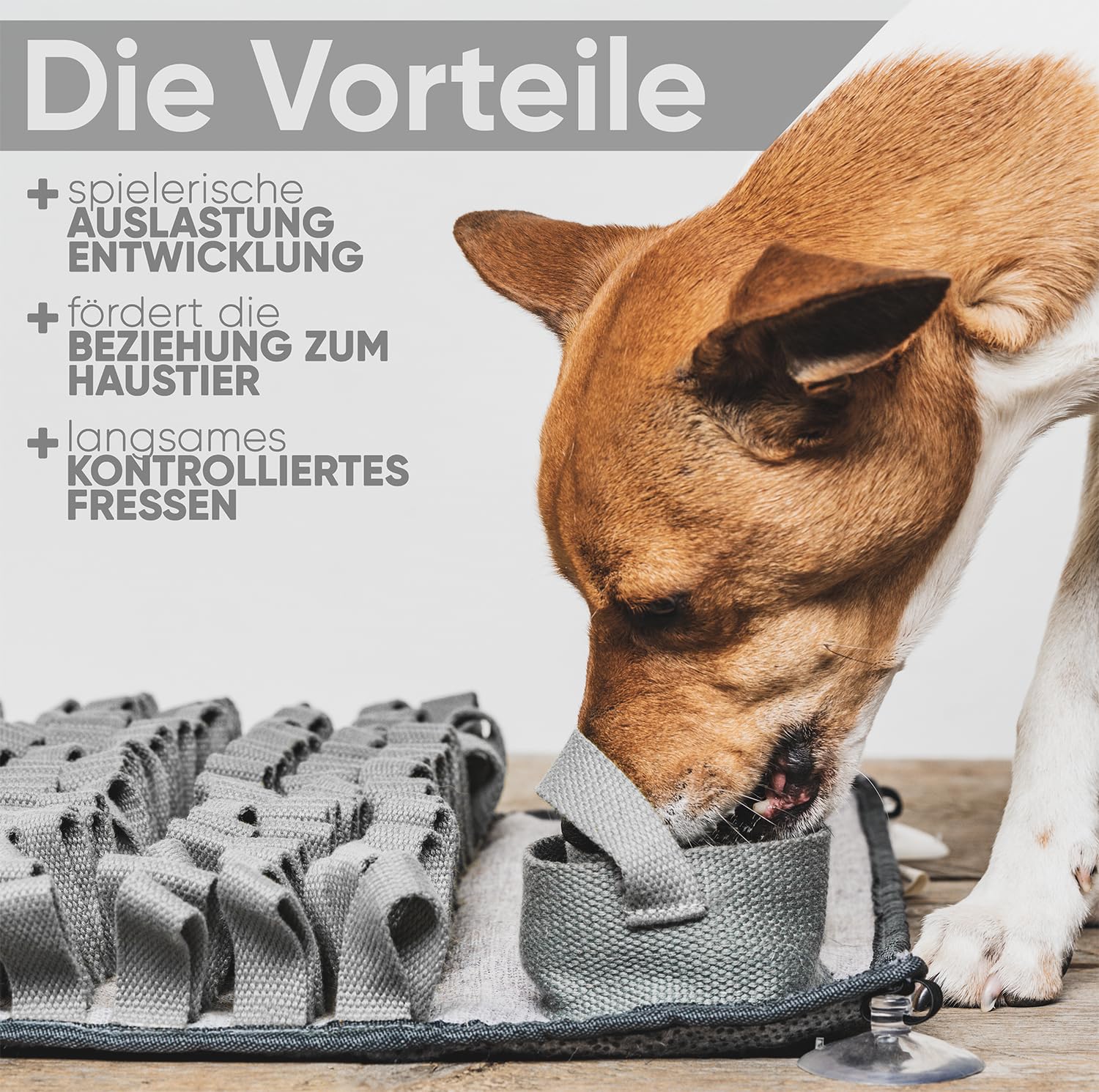 [Vainqueur du test Tapis à renifler pour chiens et chats + e-book gratuit – Jouet interactif pour chien résistant aux morsures – Jouet intelligent pour la promotion et l'utilisation –