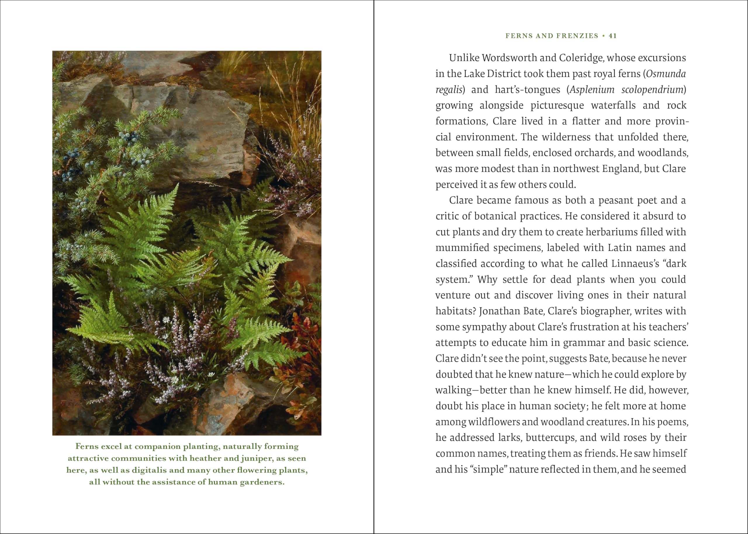 The Elegance of Ferns: Portrait of a Botanical Marvel (Marvels of Nature, 3)