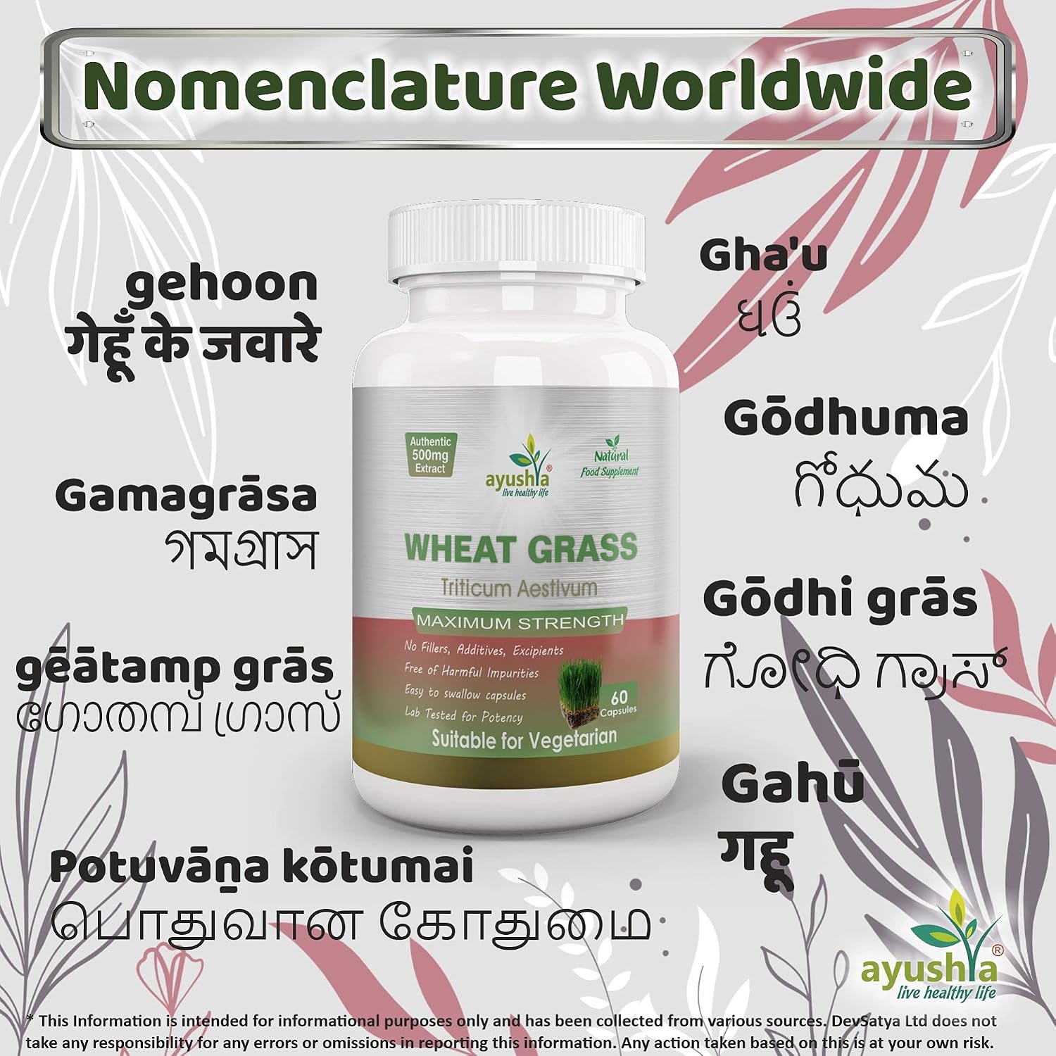 Wheat Grass Capsule, Natural, 60 count (Pack of 1) - Image 5