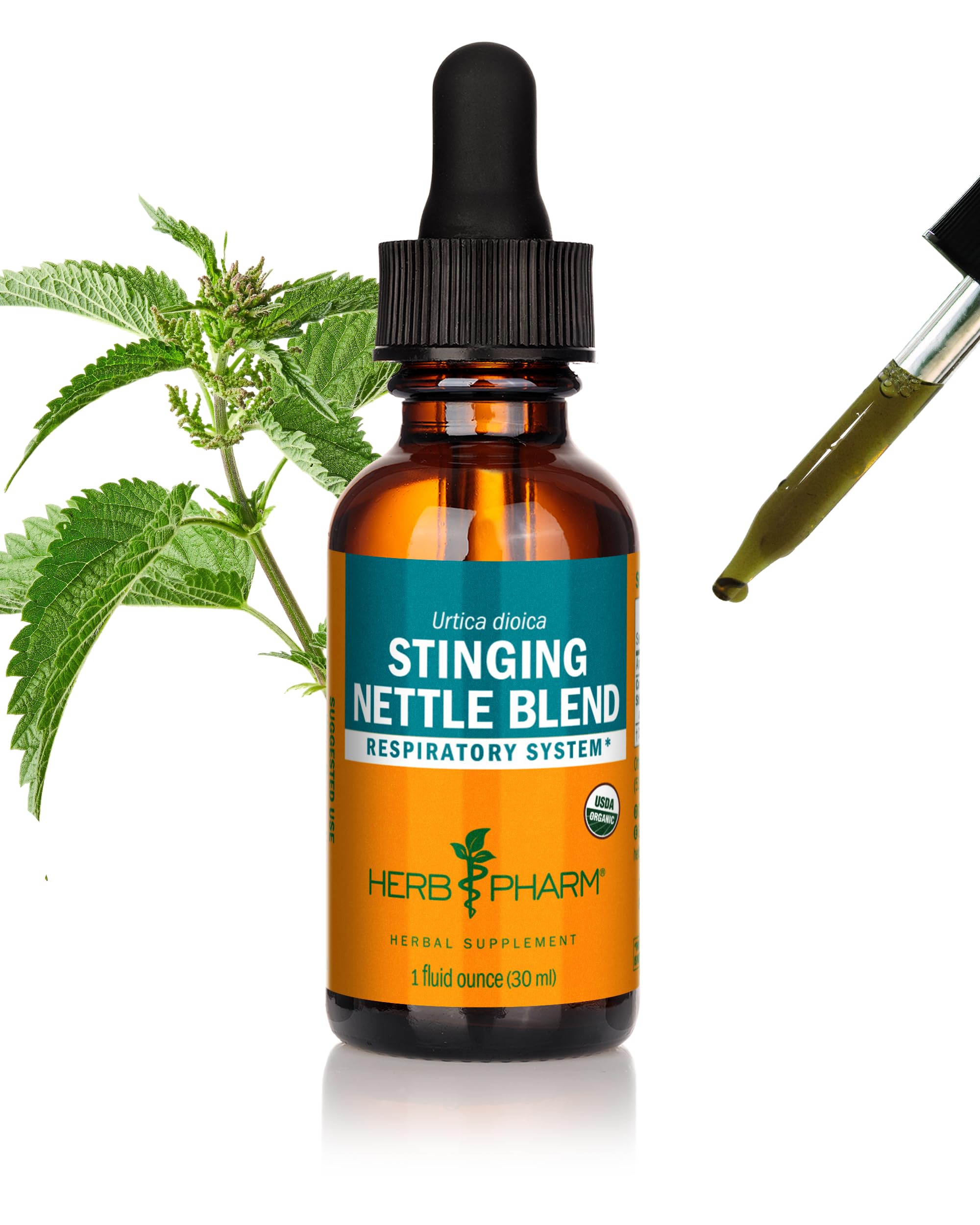 Amazon.com: Herb Pharm Stinging Nettle Blend Liquid Extract - 1 Ounce  (DNETT01) : Health & Household