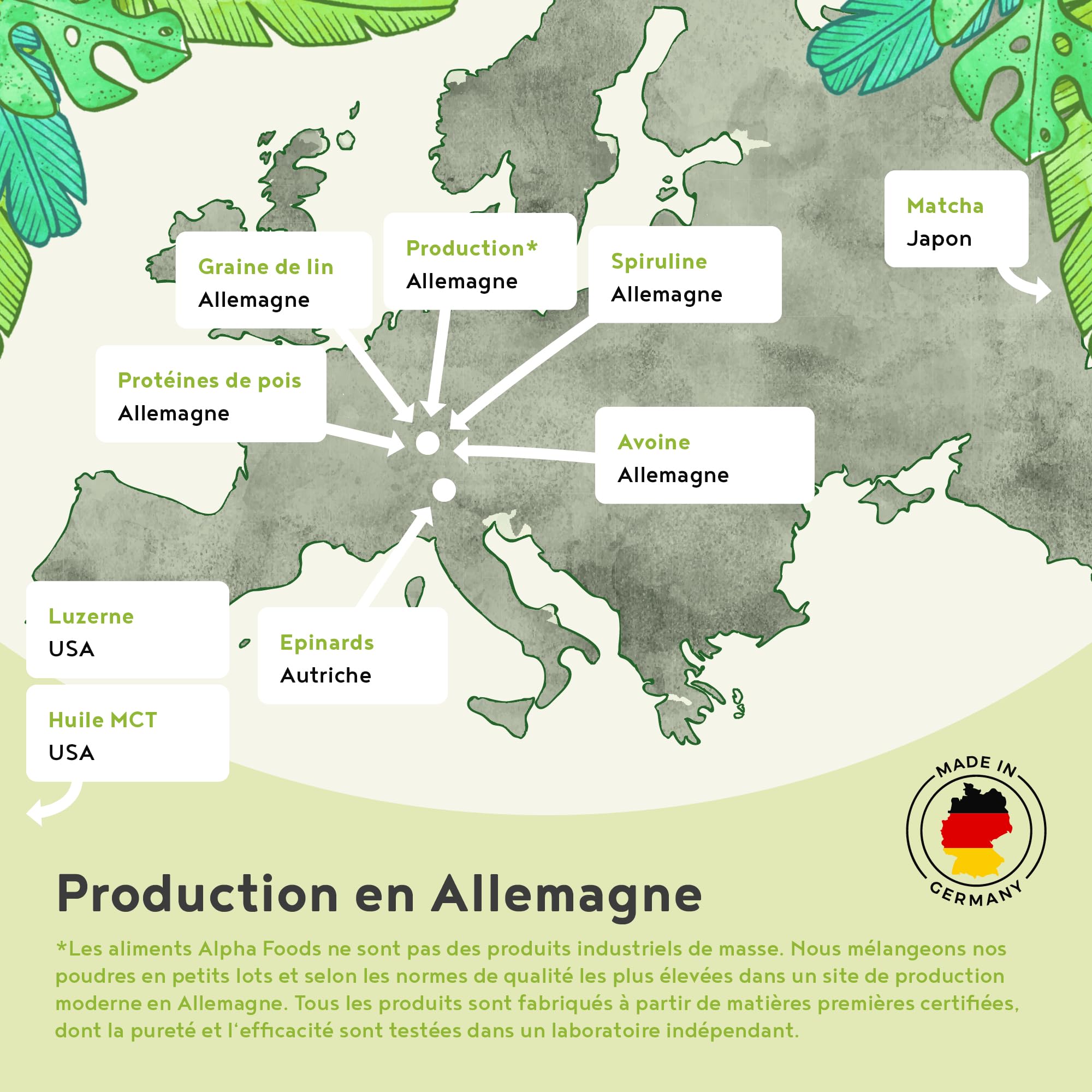 Morning Fuel | Mélange Vanille et Matcha pour le petit-déjeuner | Proteine vegetale de pois germés, quinoa, avoine, algues, alfalfa, épinards, maca, spiruline | vit. B6 + B12 | 600gr | Alpha Foods