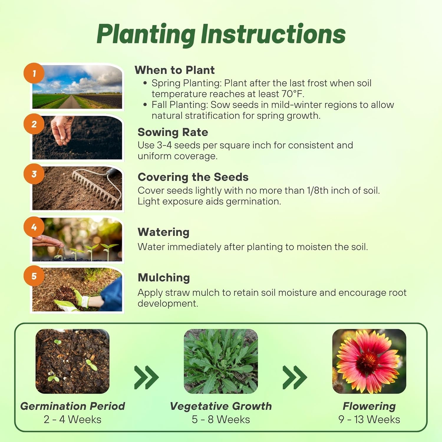 Outsidepride Gaillardia Aristata Red Blanket Flower Seeds for Planting - 1 lb Perennial Wildflower Seeds, Drought-Tolerant for Xeriscaping, Borders, Pollinator Gardens, or Wildflower Mixes