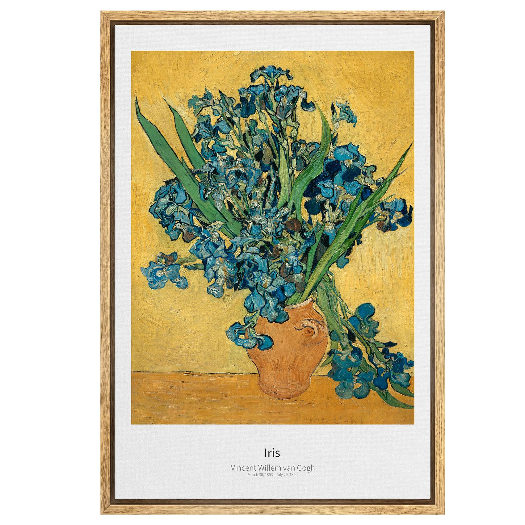 SIGNWIN Framed Canvas Print Wall Art Iris Flowers by Vincent Van Gogh Nature Wilderness Illustrations Modern Chic Scenic Colorful Multicolor for