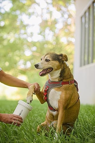 Vista 76 de Dexas MudBuster - Limpiador de patas de perro portátil Verde